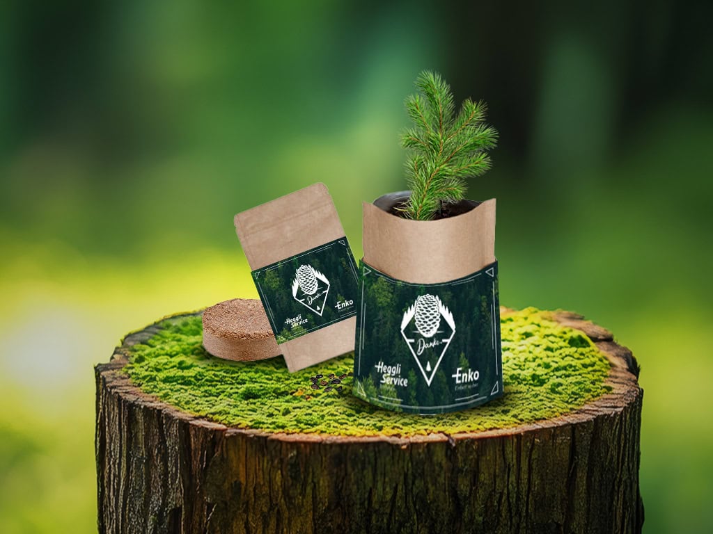 Baumpflanzset auf Baumstumpf mit Moos